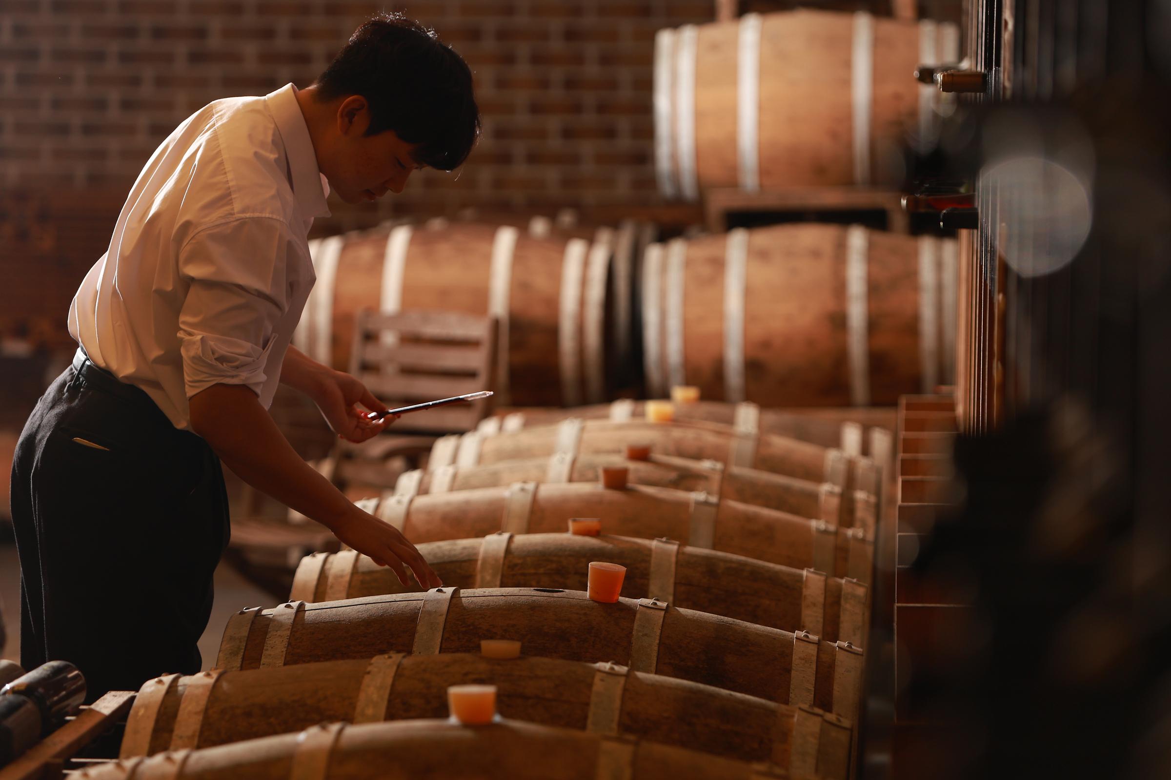 Department of Wine Science